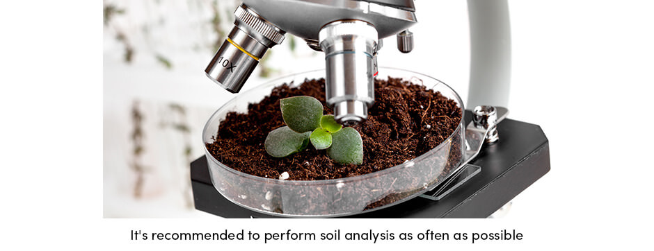 Microscopic analysis of soil in petri dish 