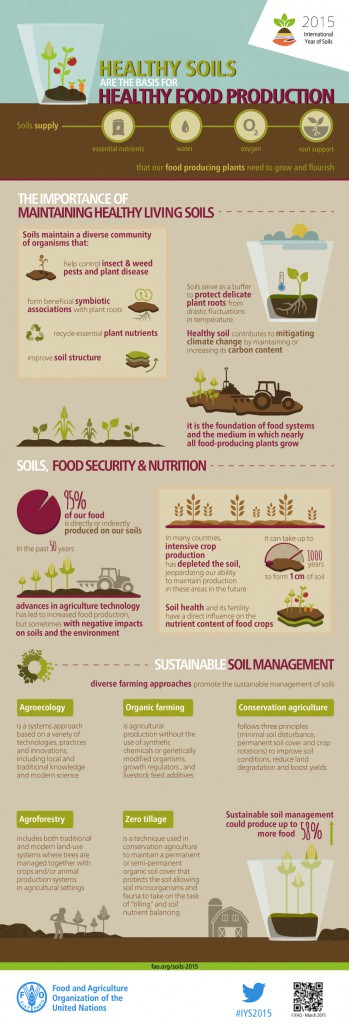 soil-healthy-food-production