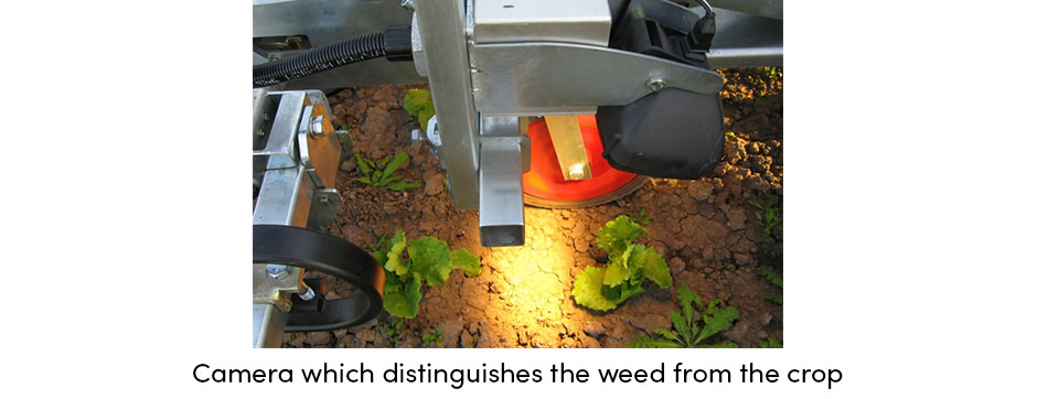 Camera Weed Identification