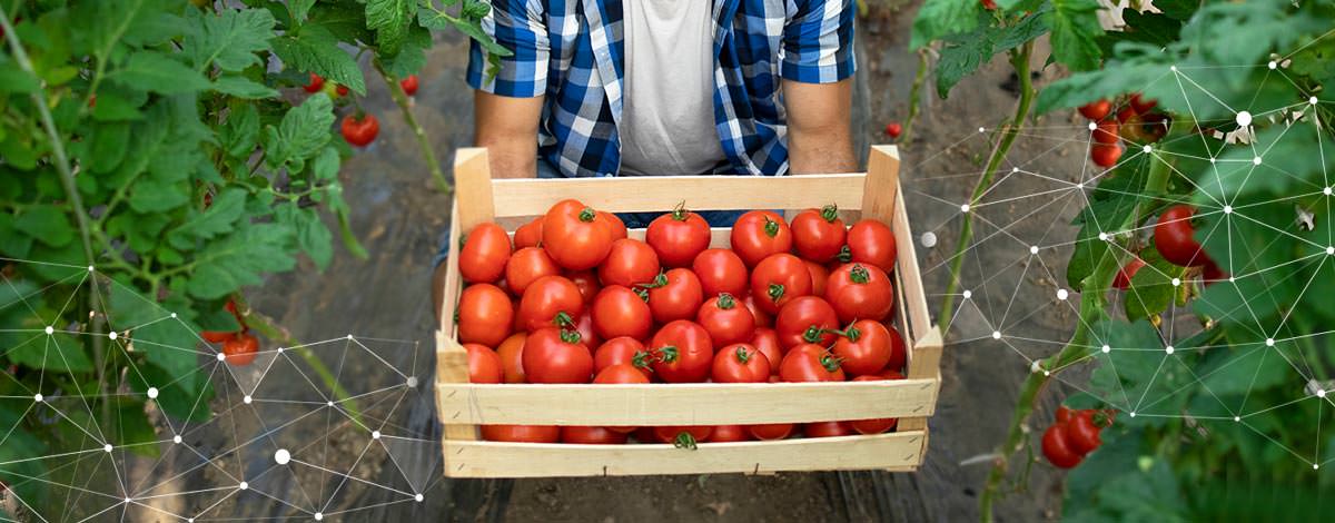 AGRIVI-Blog-Efficient-Farming-(1)