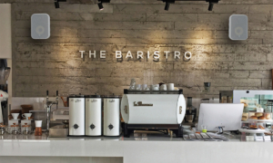 Bluesound Professional BSP500 Network Streaming Speaker