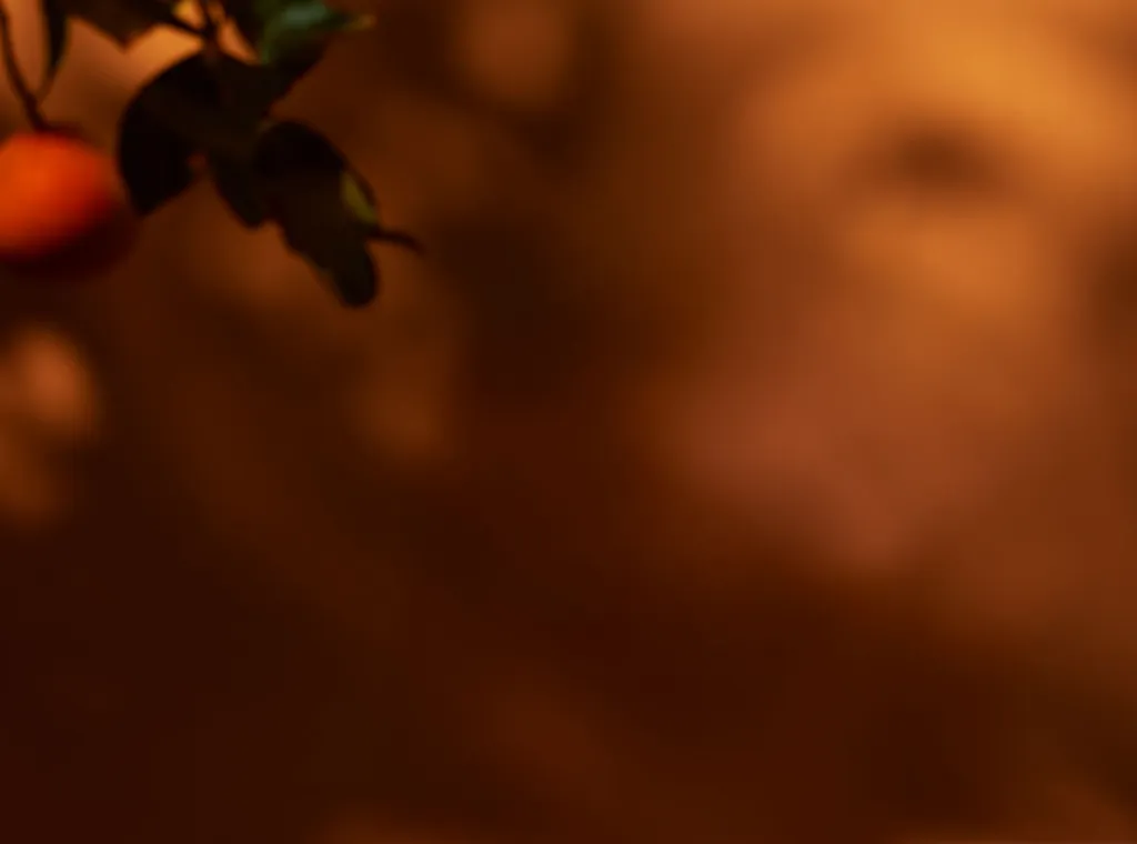 Blurry background with an orange tree