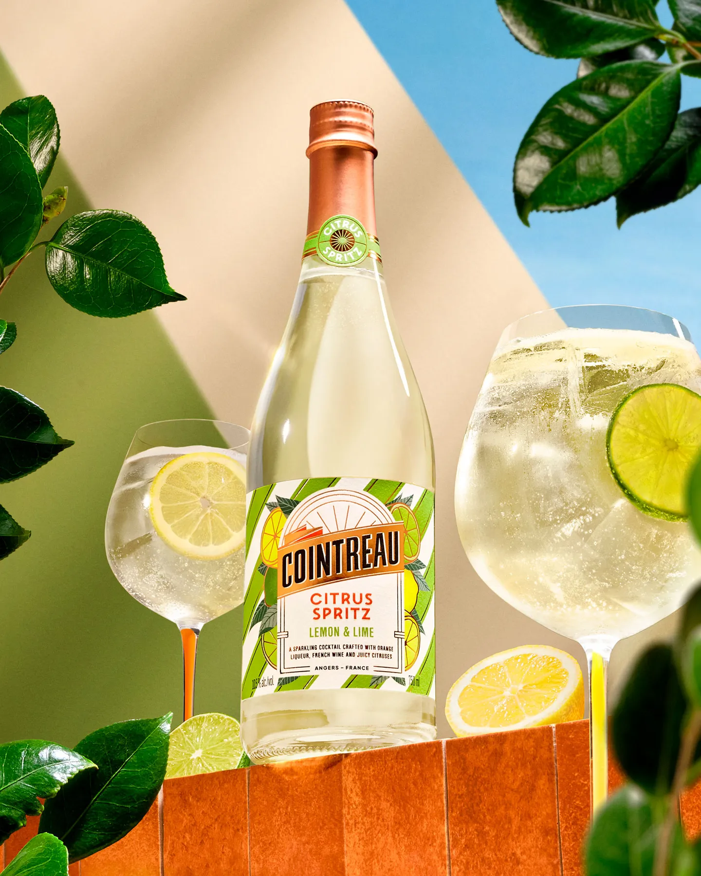 Cointreau Citrus Spritz with lime cocktails, fresh citrus and green foliage