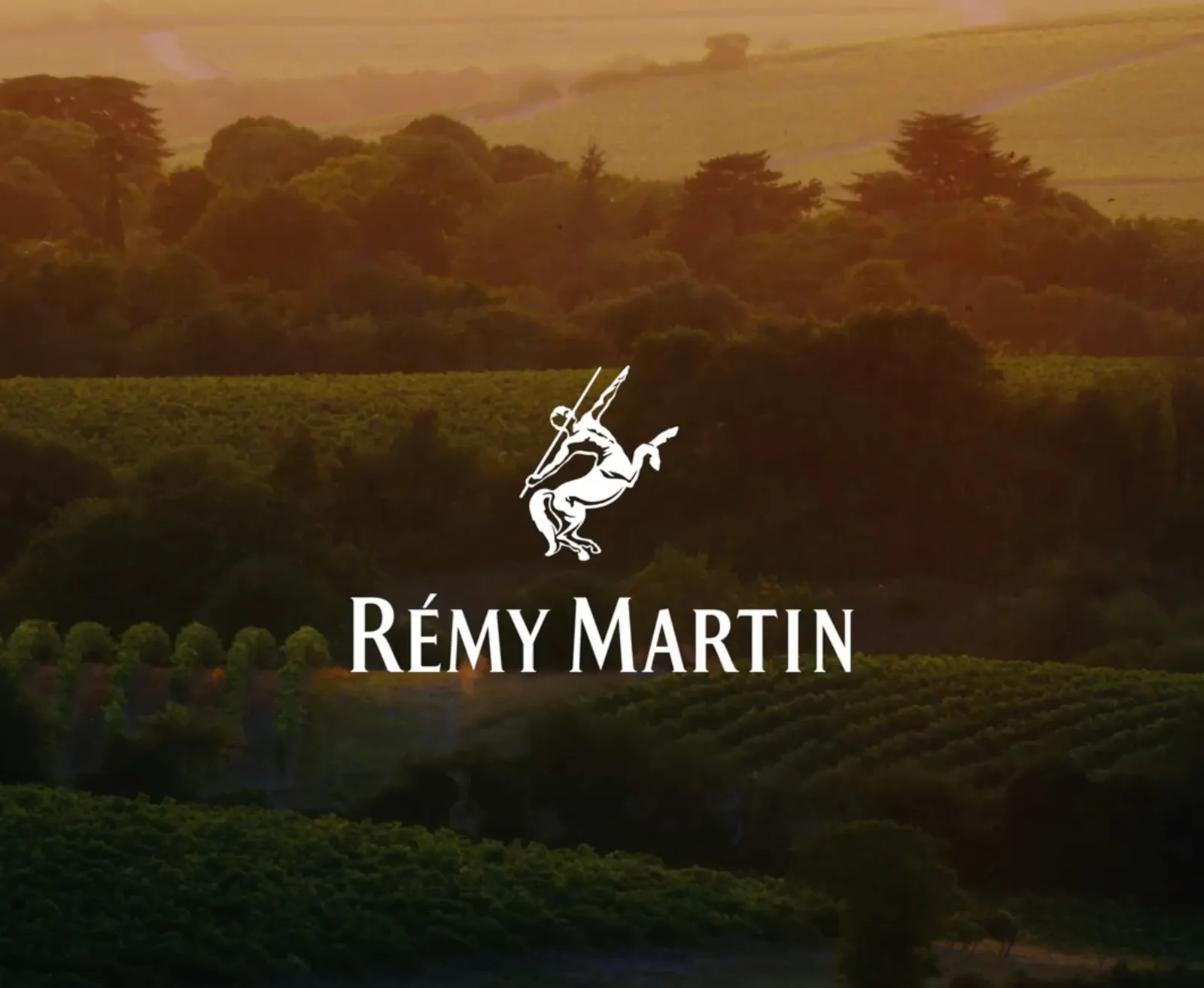 Rémy Martin logo on vineyard background