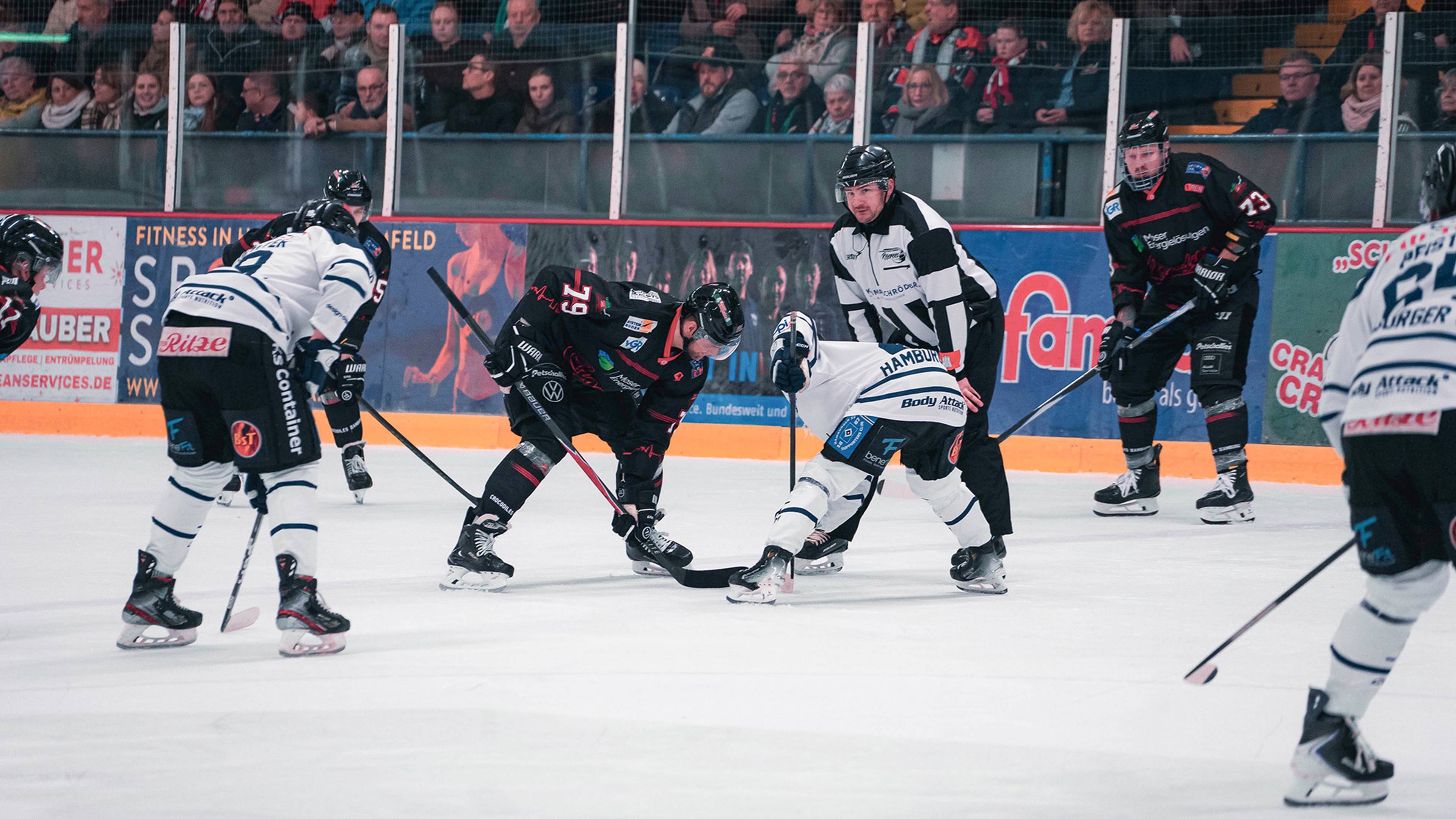 Hockey players in black and white uniforms ready for a face-off as a referee observes, with a crowd watching from the stands.