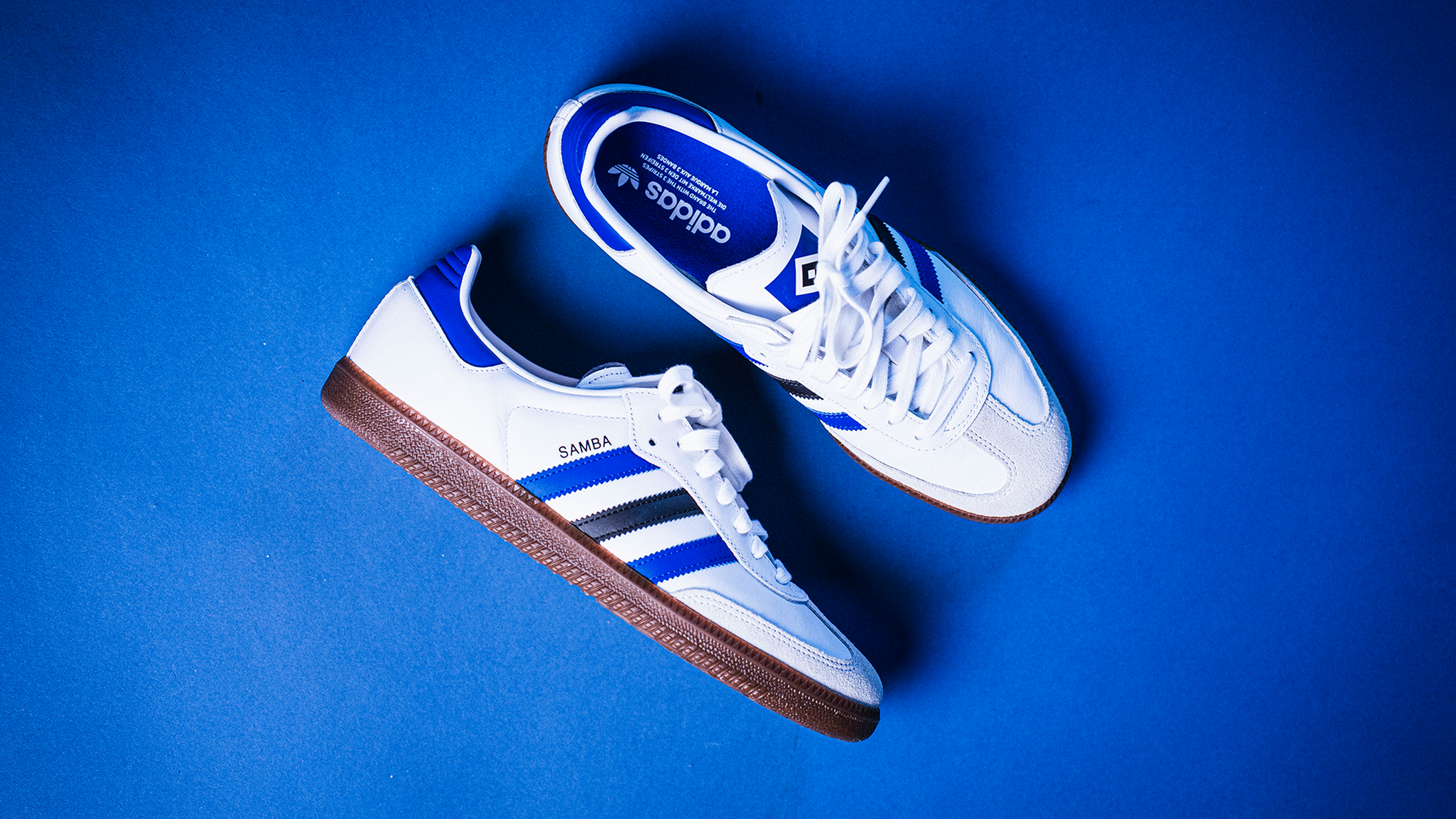 Adidas Samba Schuh im HSV-Look.