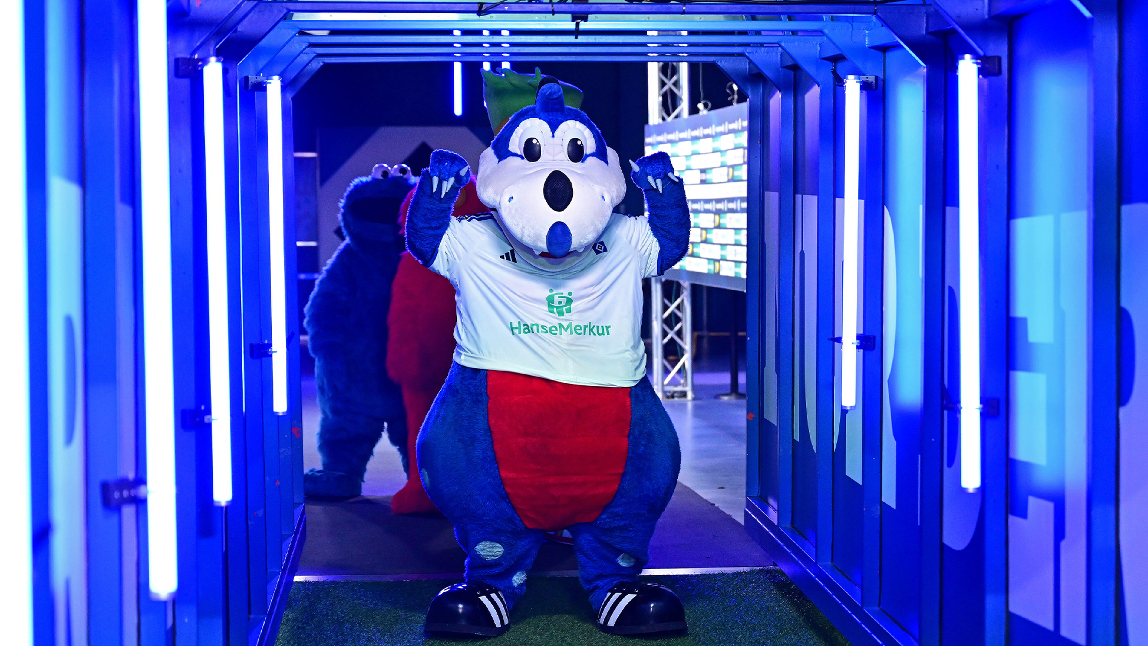 Dino Hermann im Spielertunnel des Volksparkstadions.