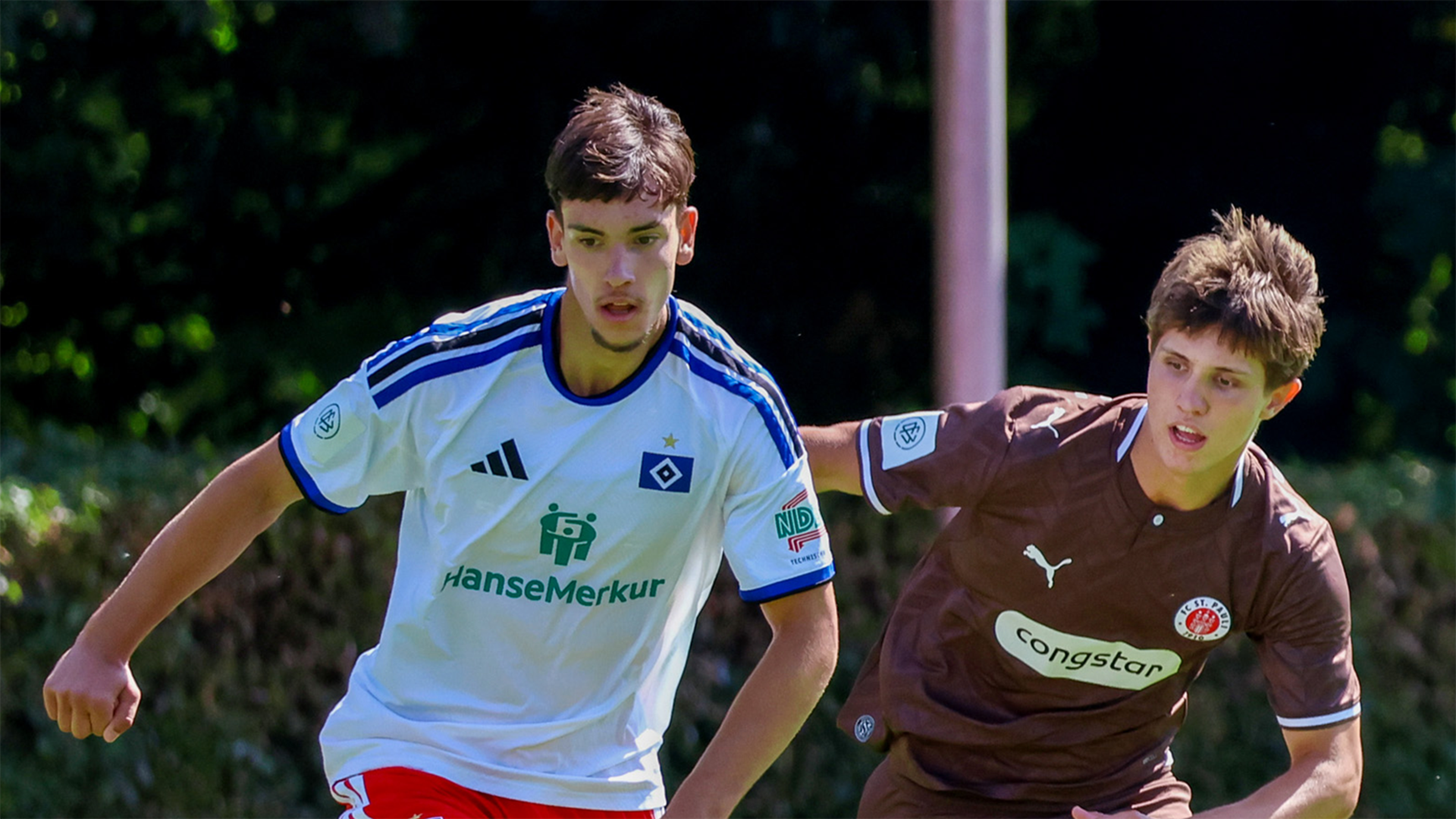 nlz_vorschau_header