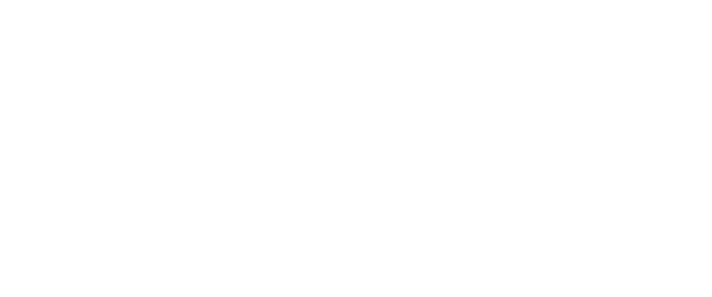 Google Pixel Frauen-Bundesliga