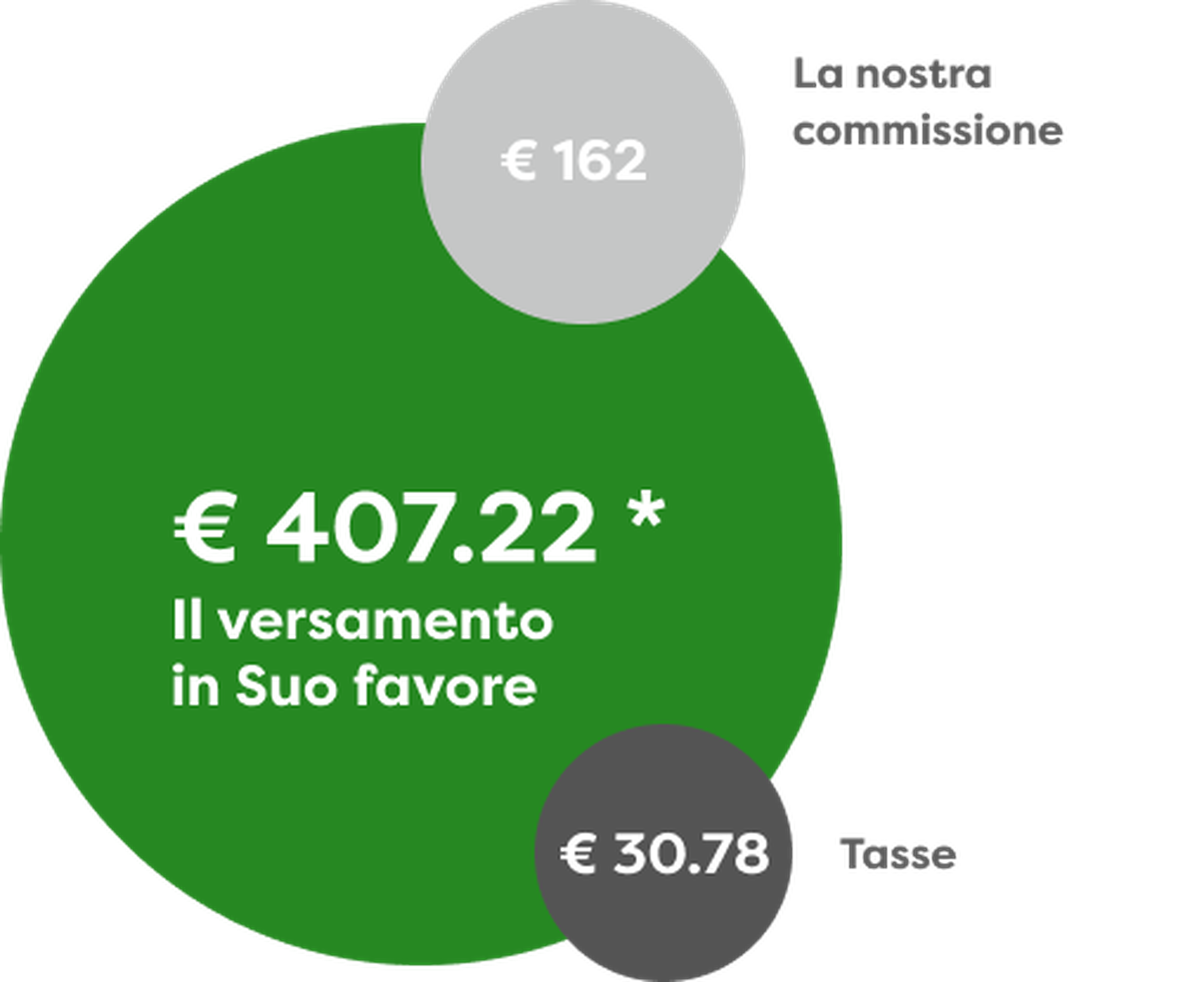 Diagramma a torta con importi: €407,22 versamento, €162 commissione, €30,78 tasse, su sfondo verde e grigio.
