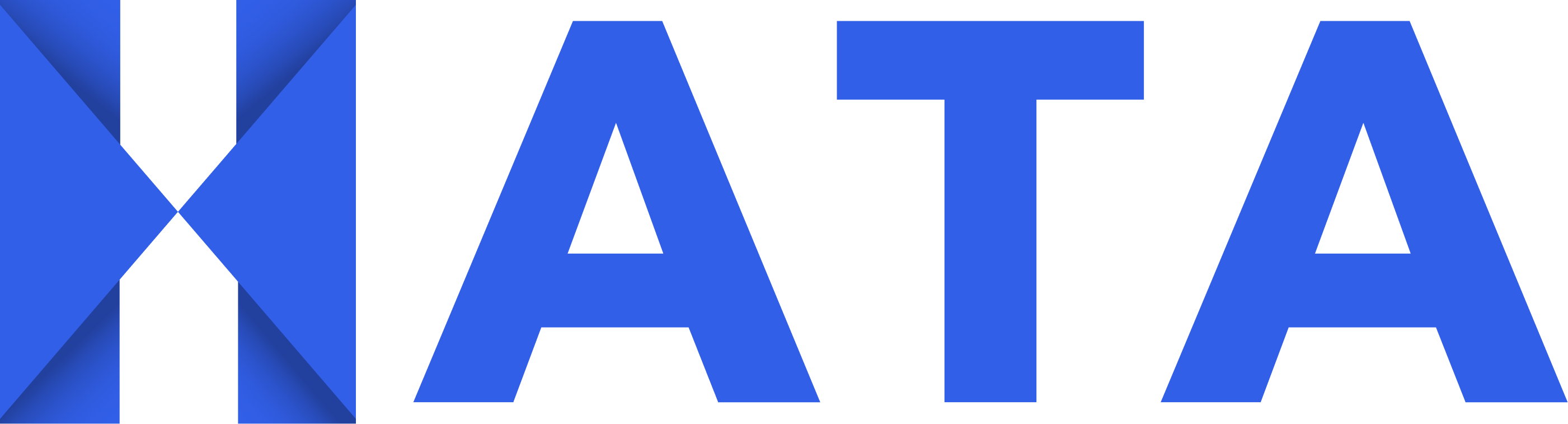 Hata Logo