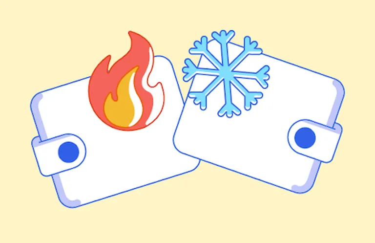 Hot Wallet vs Cold Wallet: Which One Should You Use?