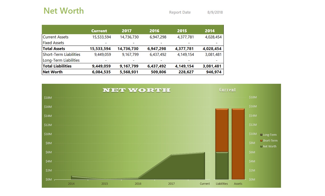 Net Worth by Year