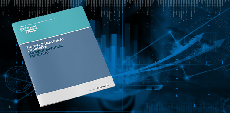 Harvard Business Review on Transformational Journeys: Modern Business Planning