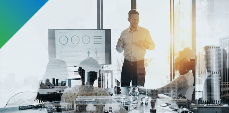 Bizview Workflows