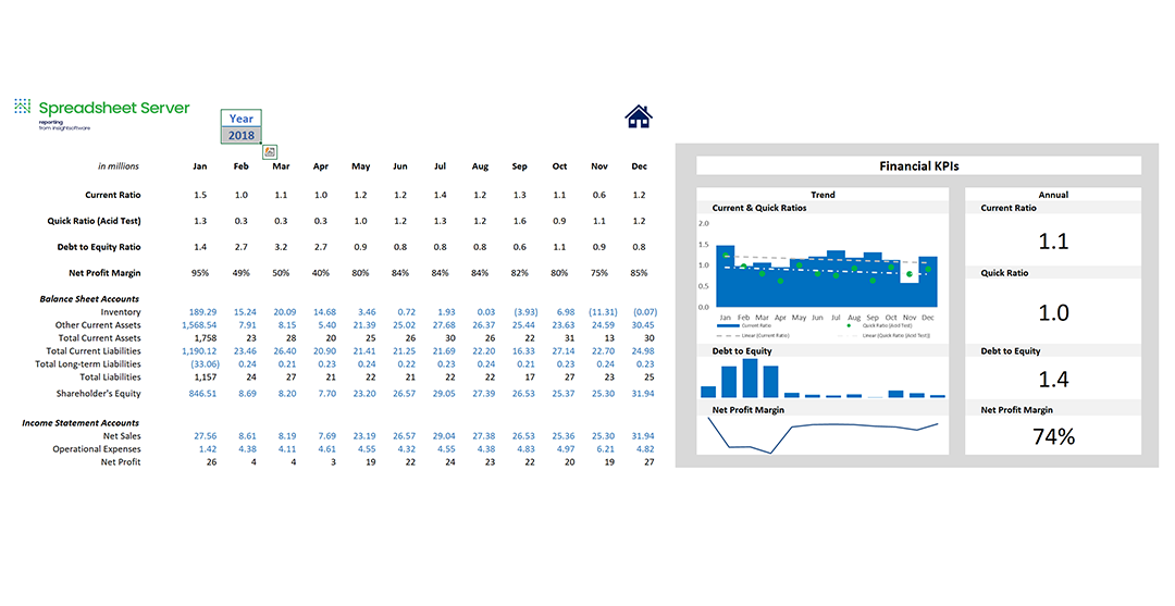 Financial Ratios Report