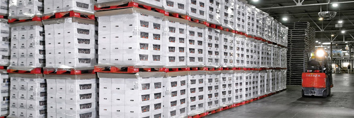 PECO Pallet