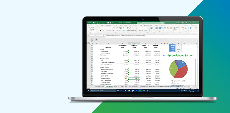 Which Spreadsheet Server License is Right for Your Business?