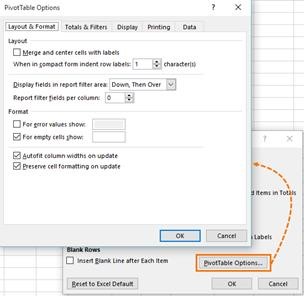 Pivot Table Options