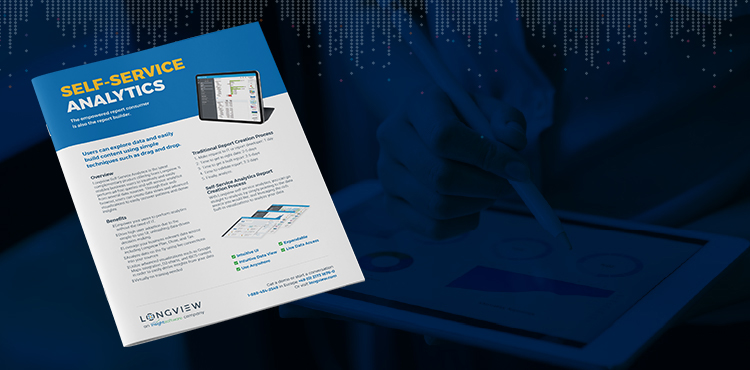 Longview Analytics: Self Service Analytics