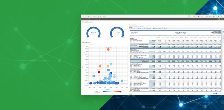 Bizview and Qlik