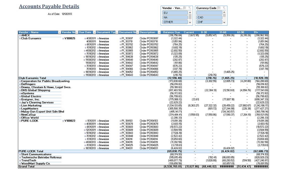 Accounts Payable Details