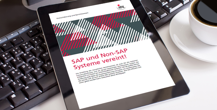 Konsolidierung und Berichtswesen in SAP-Umgebungen
