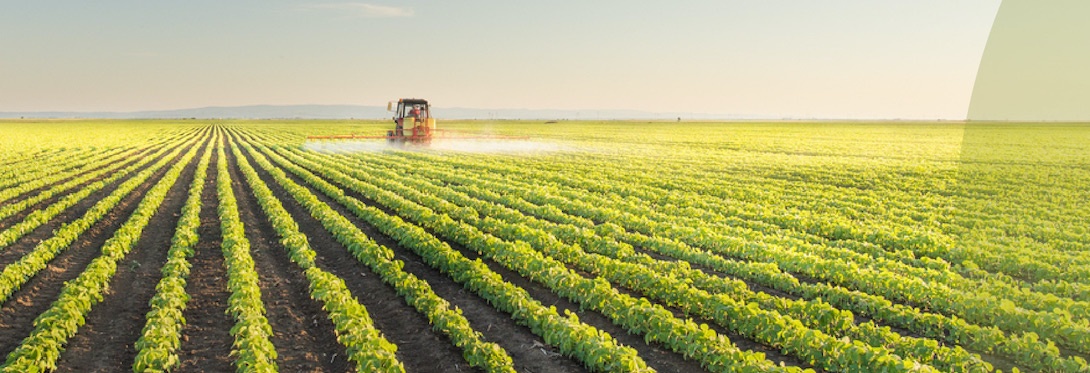 Nutrien Inc (DNet)