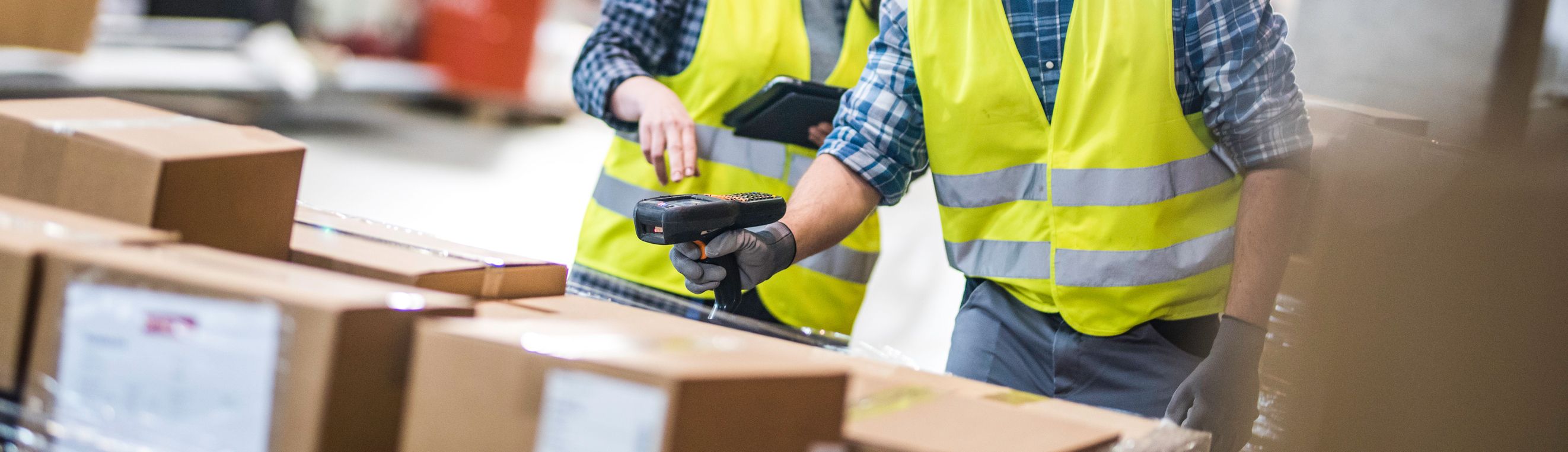 Datalogic Case Study