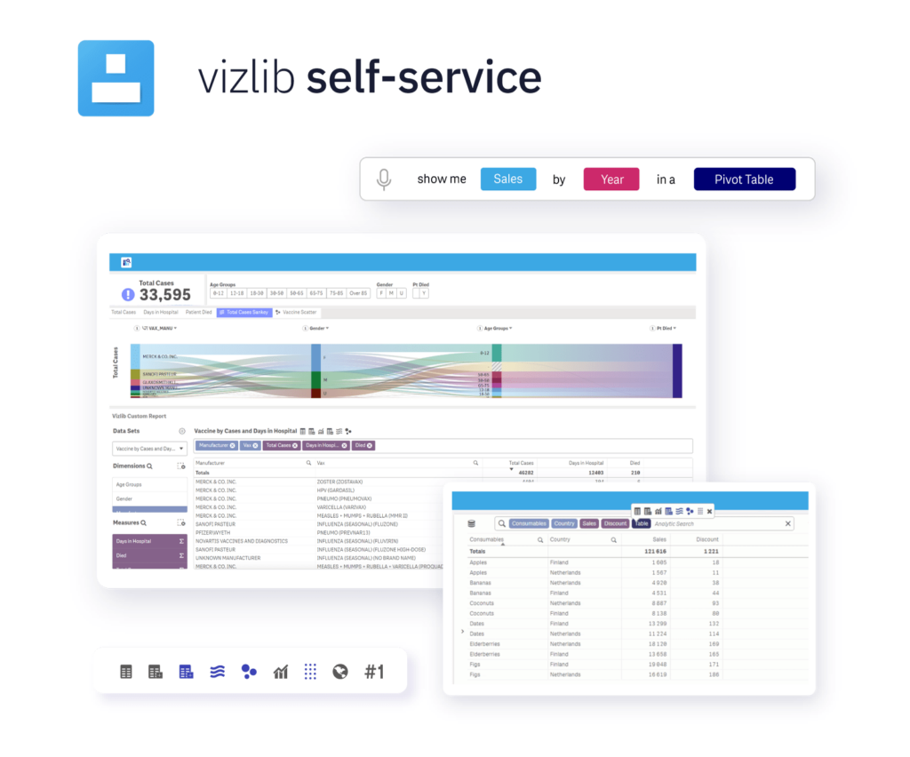 Vizlib Self-Service