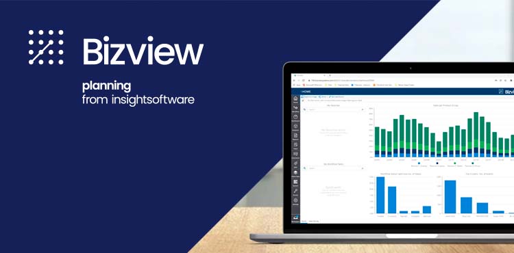 Bizview Report Wizard Quick Demo