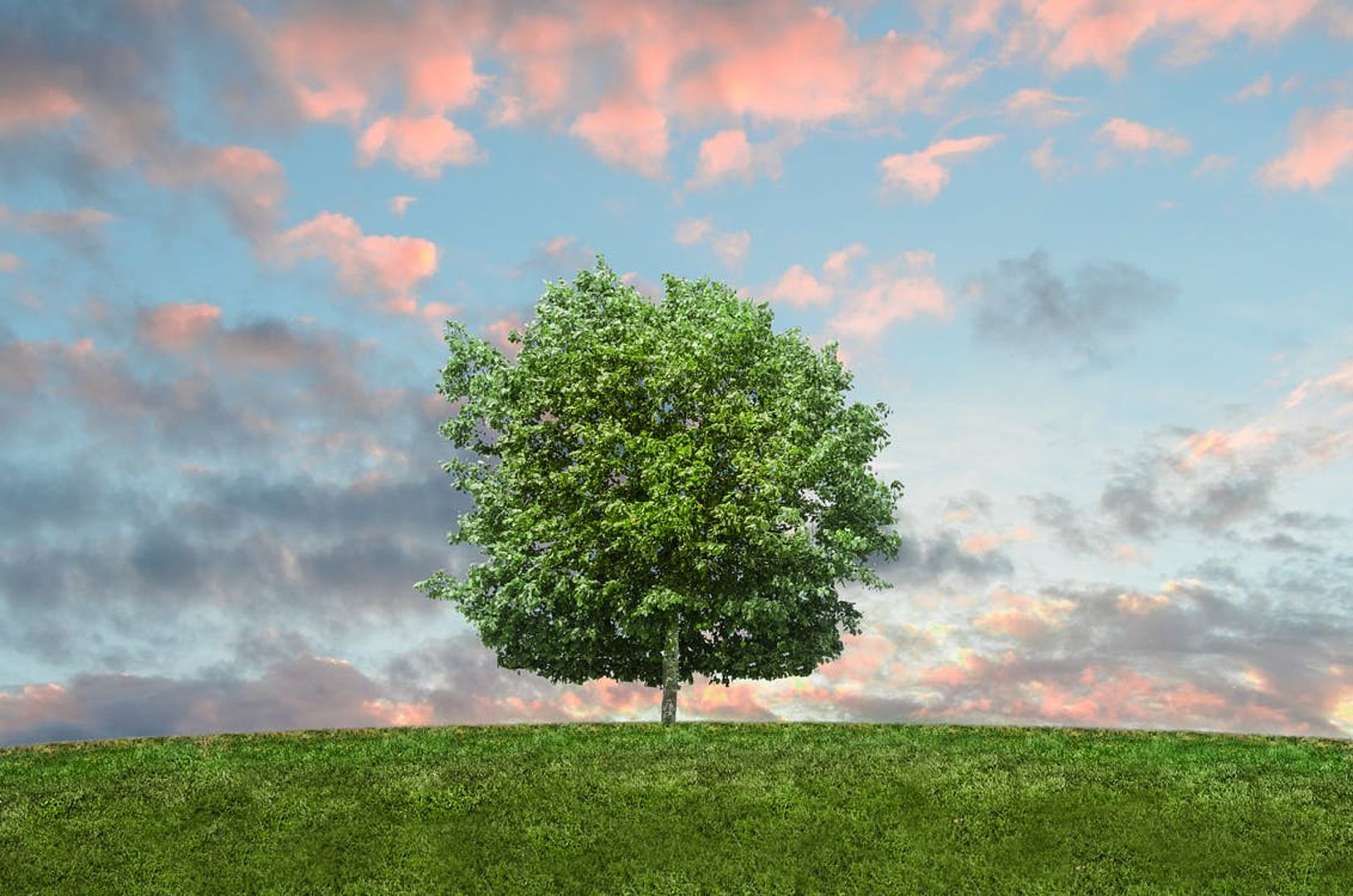 Predictive Analytics: Inspiring and Terrifying Ethical Questions Posed by AI