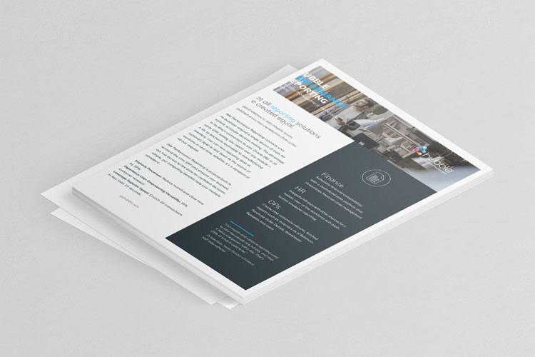 Financials With Flexible Functionality