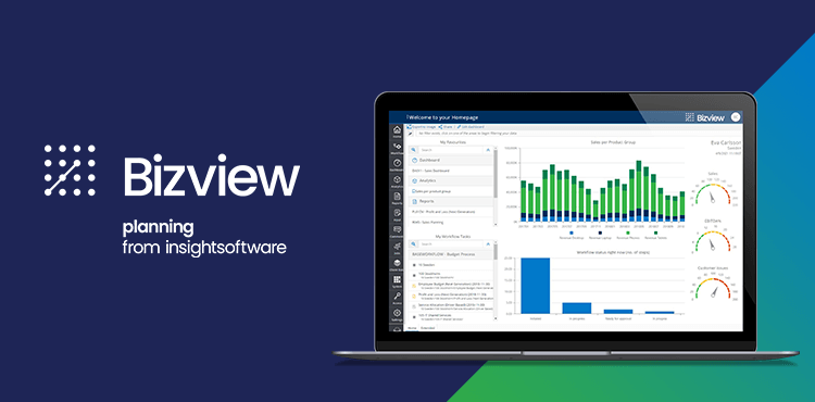 Bizview: A Robust, Web-based Planning Solution