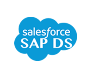 Salesforce SAP Data Services Connectivity logo