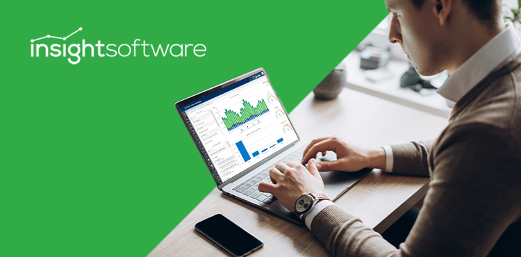 25 Bizview Use Cases for Finance Pros