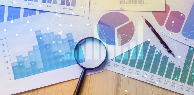 Data Quality Audit