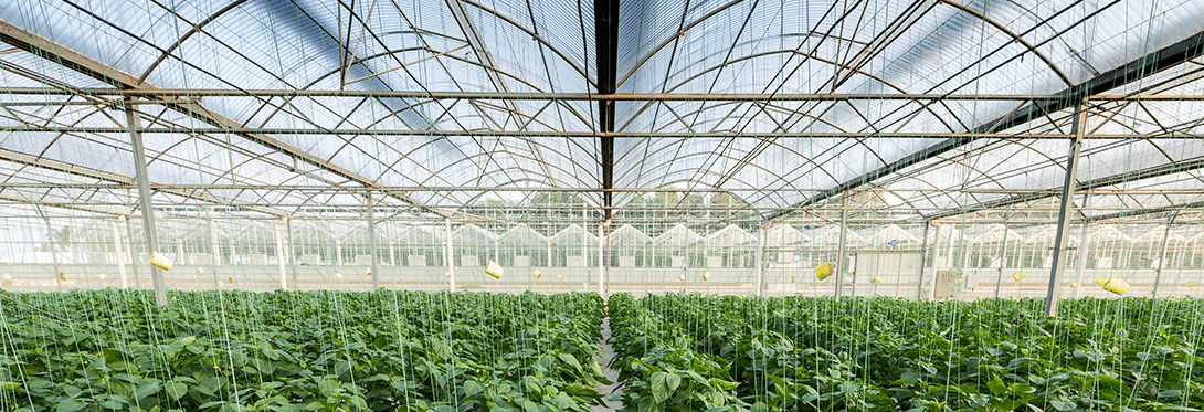 Customer Story: Hermadix