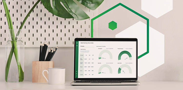 Procure-to-Pay Reporting Made Easy in Hubble