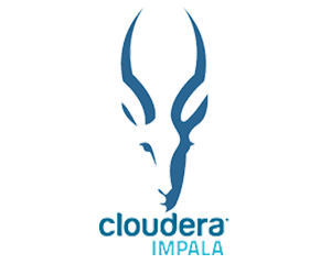 Impala ODBC and JDBC Driver logo