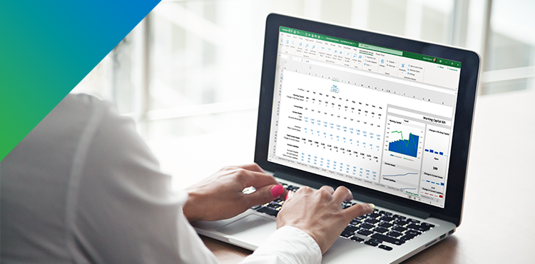 Getting the Most Out of Spreadsheet Server with Viewpoint Vista ERP