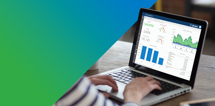 Bizview Lunch & Learn: End User Basics Pt. 2