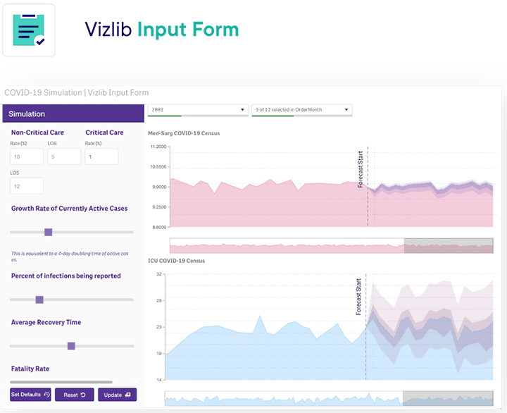 Vizlib input form