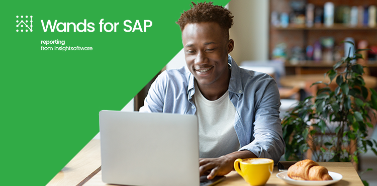 Wands for SAP Lunch & Learn: The Dynamic Power of Wands