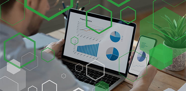 Optimize Your Financial Planning With Fiplana