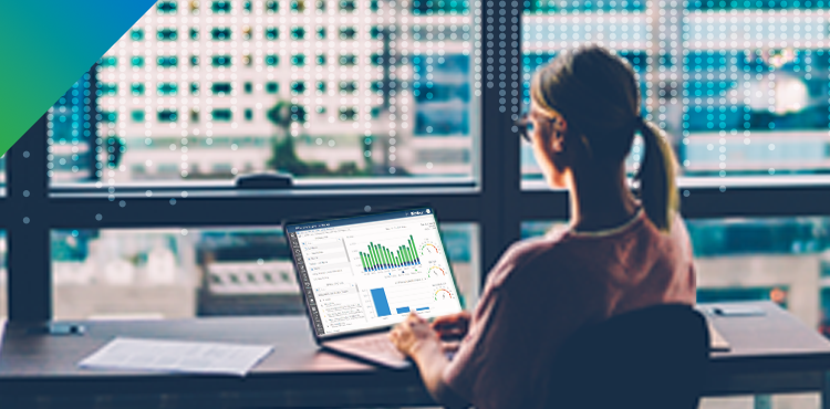 Bizview Refresher Course Pt.1 – I Know What You Did Last Budget-Season – System Logs