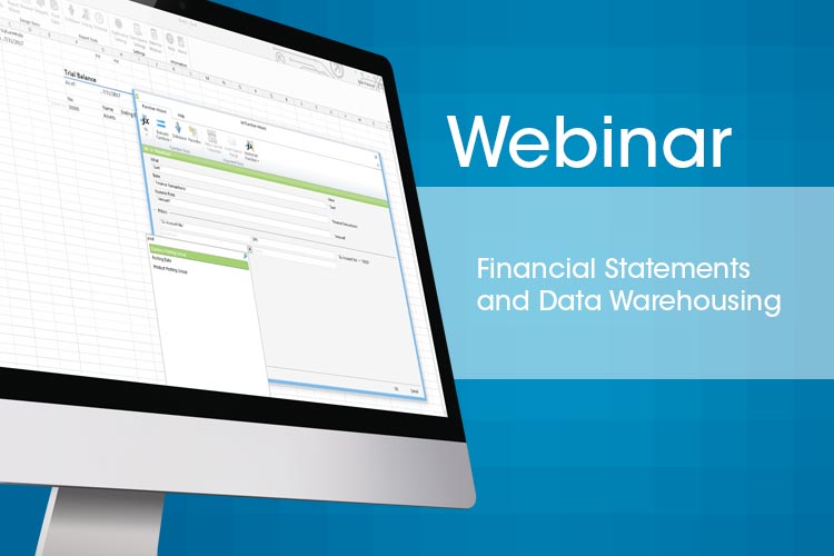 Financial Statements and Data Warehousing