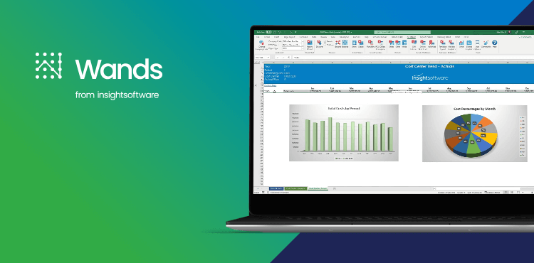 Wands for SAP Flyover Demo Video