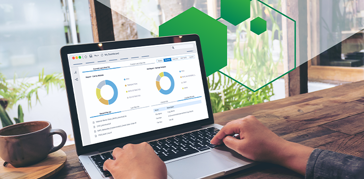 From Hours to Minutes: Master SAP Data Updates