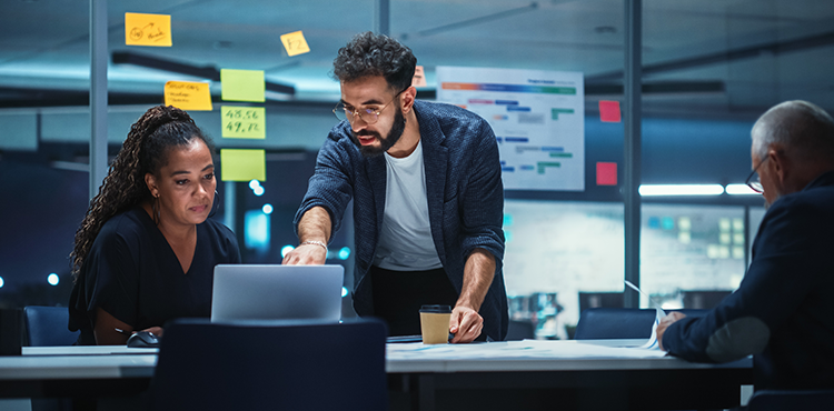 Chasing the ERP Dream: A Single Source of Truth